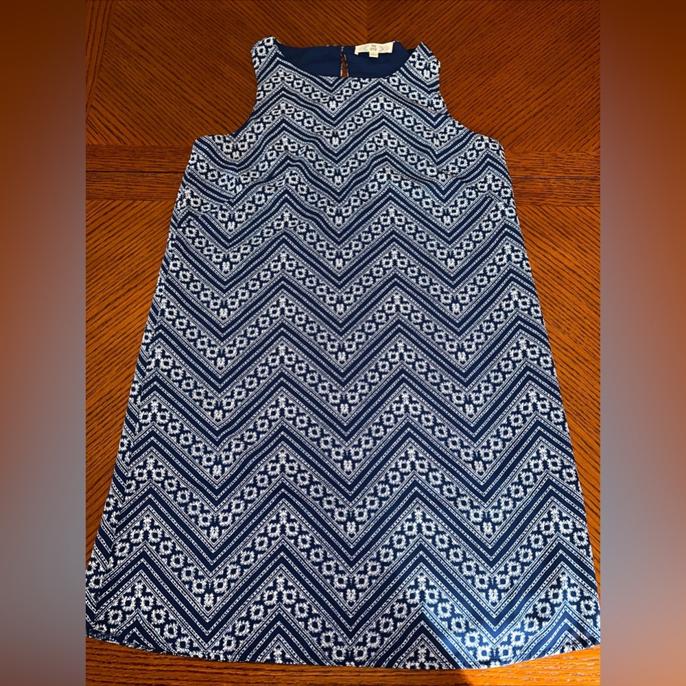 Pink Rose Blue & White Shift Dress Chevron‎ Pattern Sz L NWOT above knee